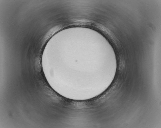 X0000110321362200906181815