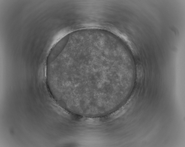 X0000110321365200906181815