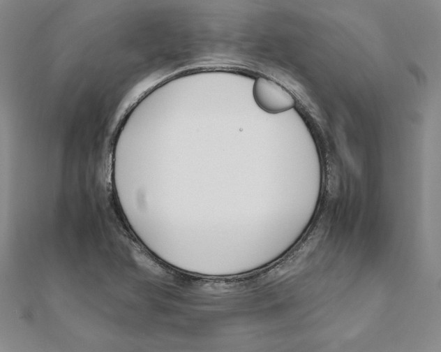 X0000110321366200906181815