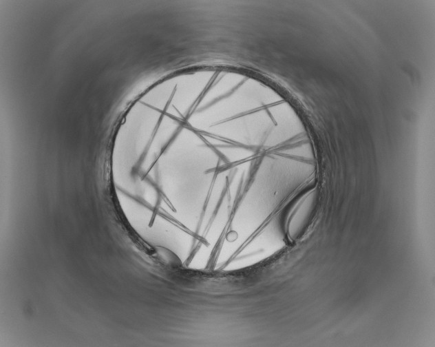 X0000110321367200906181815