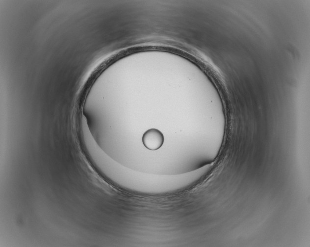 X0000110321368200906181815