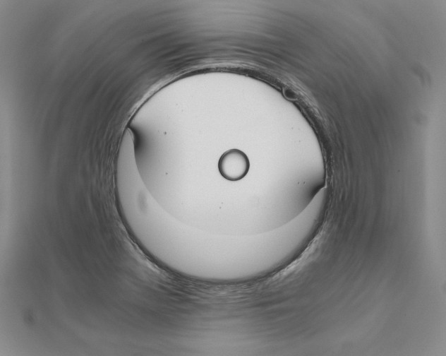 X0000110321369200906181815