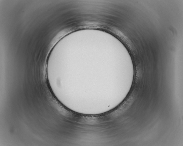 X0000110321370200906181815