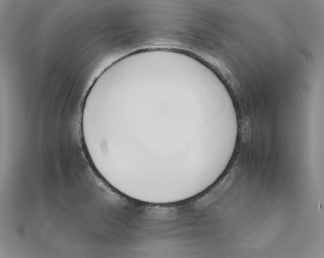 X0000110321374200906181815