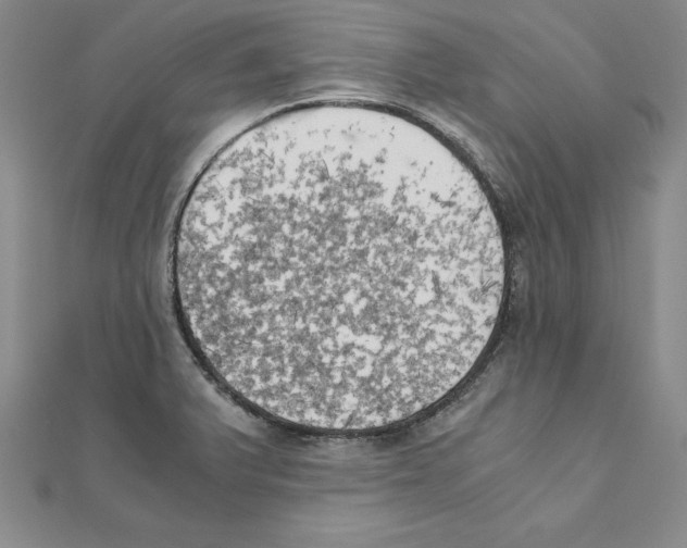 X0000110321375200906181815