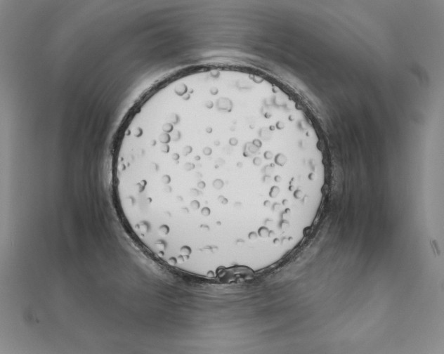 X0000110321376200906181814