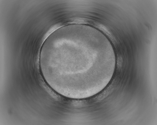 X0000110321378200906181814