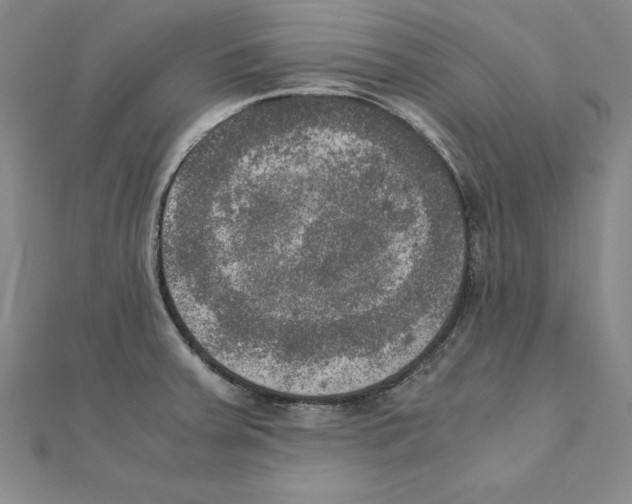 X0000110321379200906181814