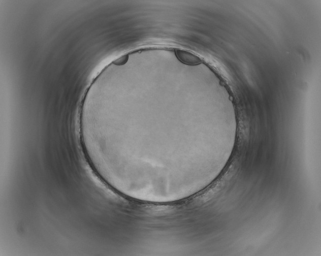 X0000110321382200906181814