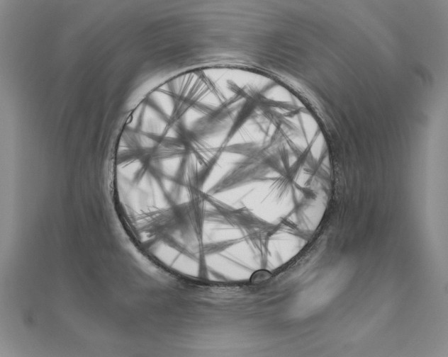 X0000110321383200906181814