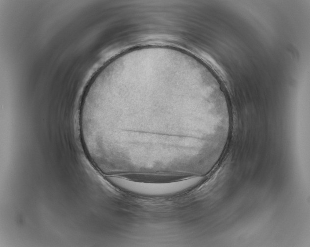 X0000110321384200906181814