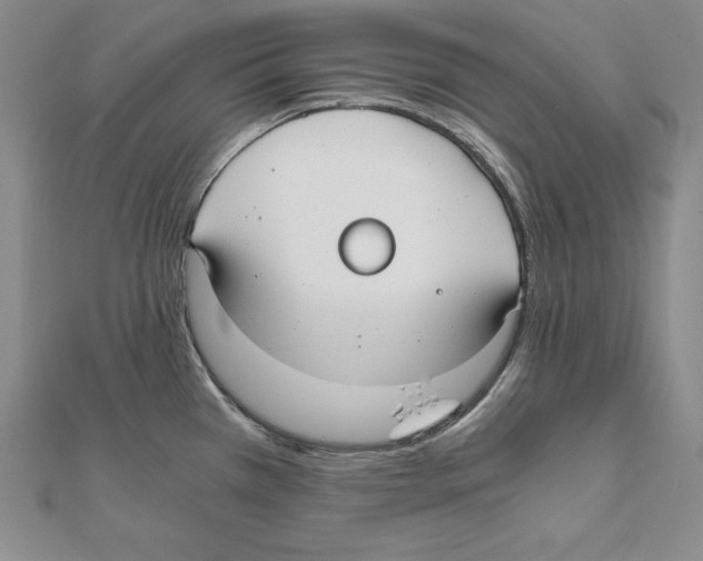 X0000110321385200906181814