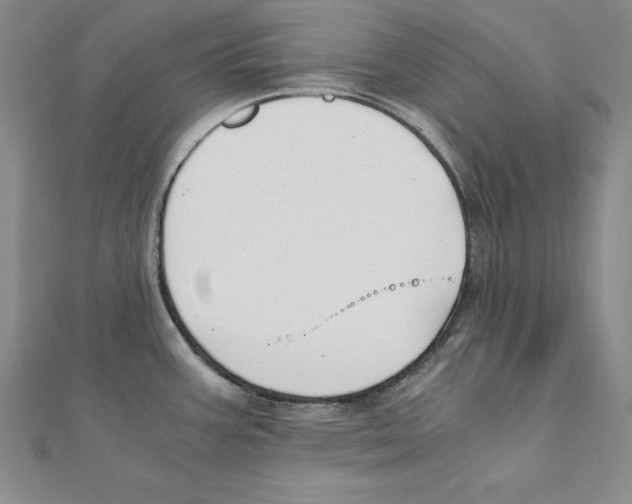 X0000110321387200906181814