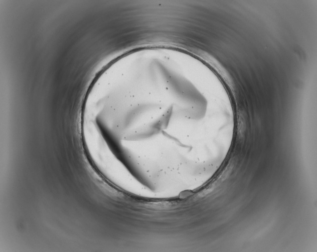 X0000110321388200906181814