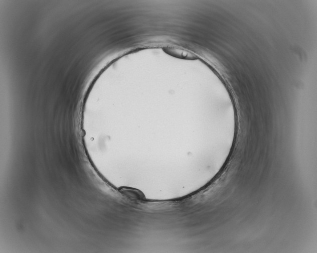 X0000110321392200906181814