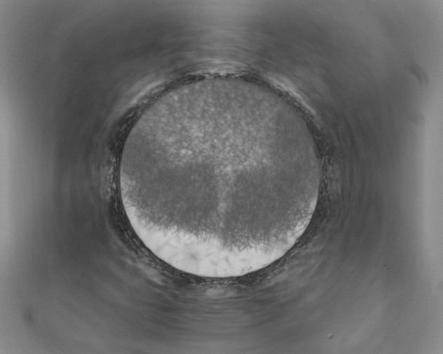 X0000110321399200906181814