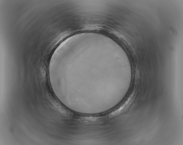 X0000110321401200906181814