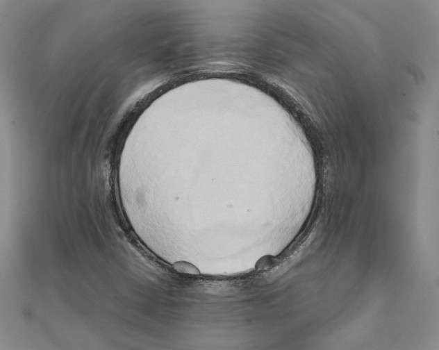 X0000110321402200906181814