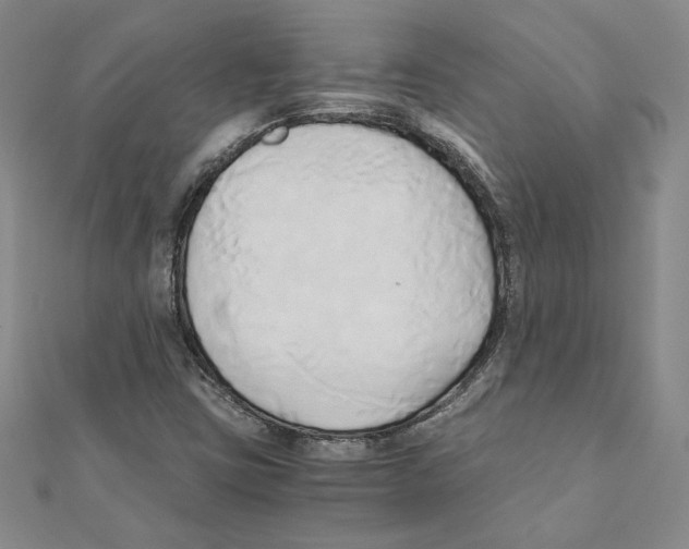 X0000110321403200906181814