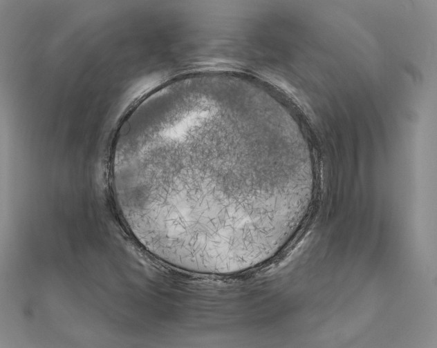 X0000110321405200906181814