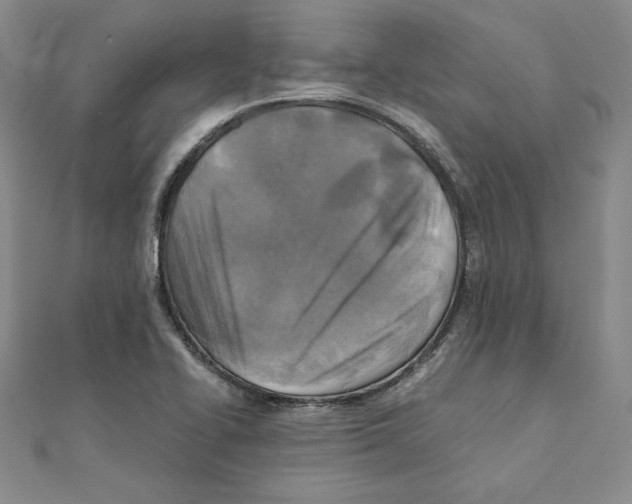 X0000110321414200906181814