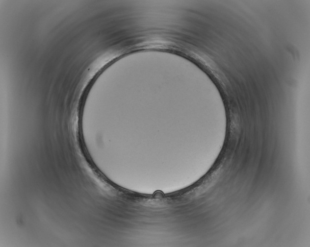 X0000110321418200906181814