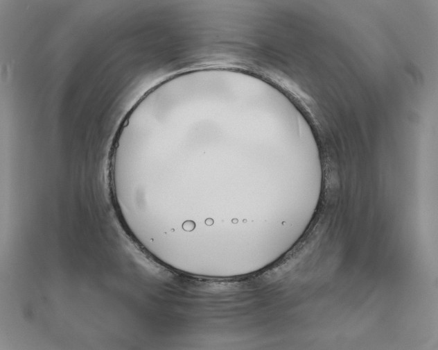 X0000110321423200906181814