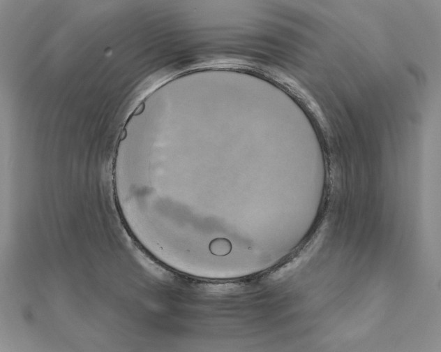 X0000110321425200906181814