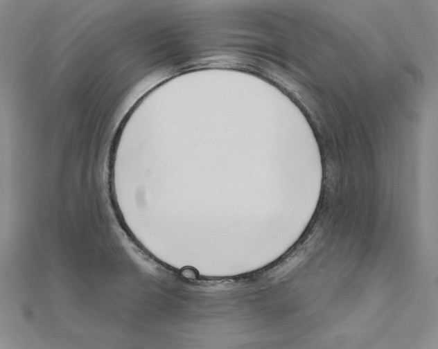 X0000110321426200906181814