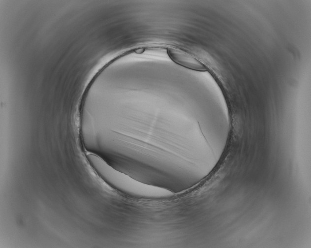 X0000110321428200906181814