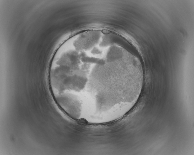 X0000110321429200906181814