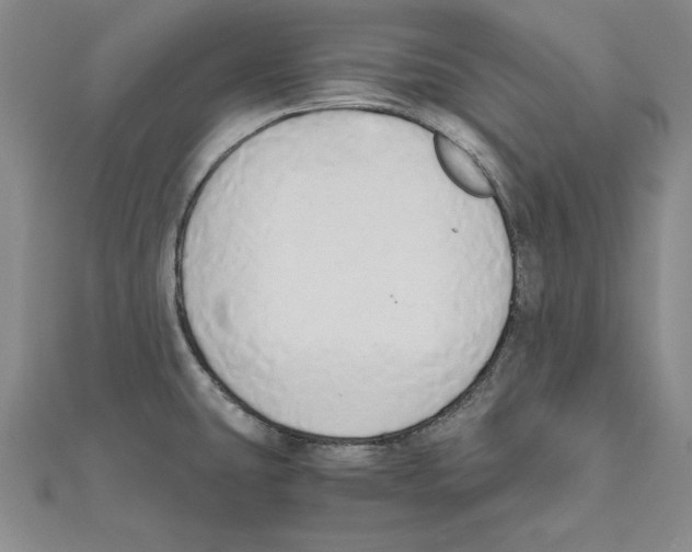 X0000110321431200906181814