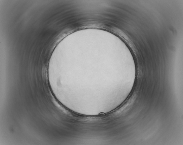 X0000110321433200906181814