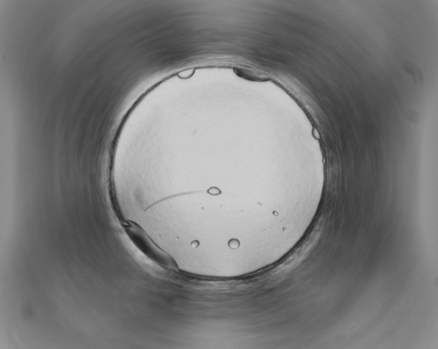 X0000110321438200906181814