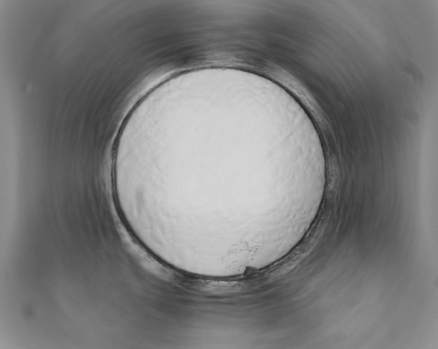 X0000110321439200906181814