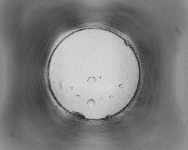 X0000110321440200906181814