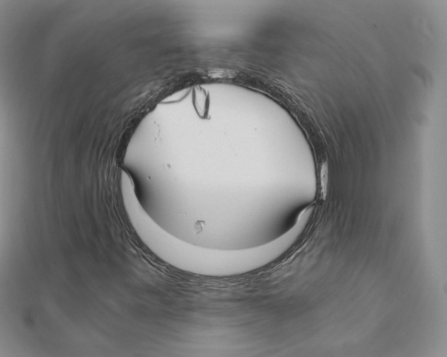 X0000110321443200906181814