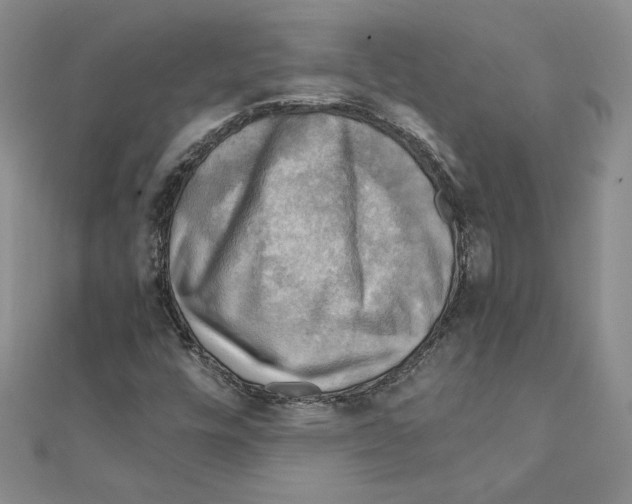 X0000110321448200906181814