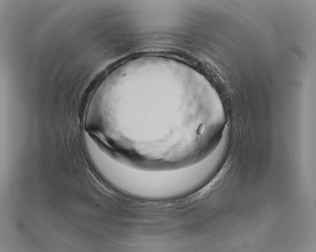 X0000110321449200906181814