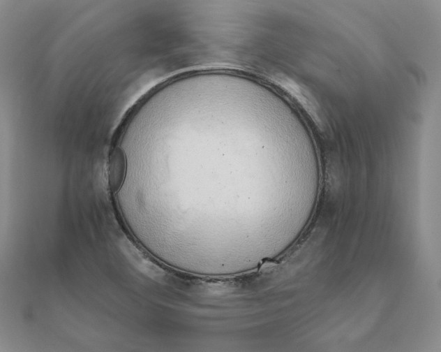 X0000110321460200906181813