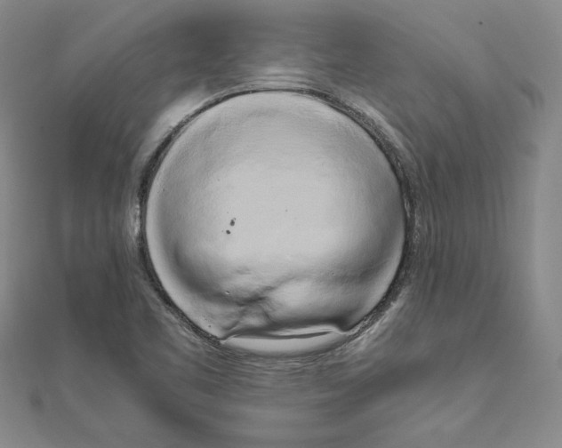 X0000110321461200906181813