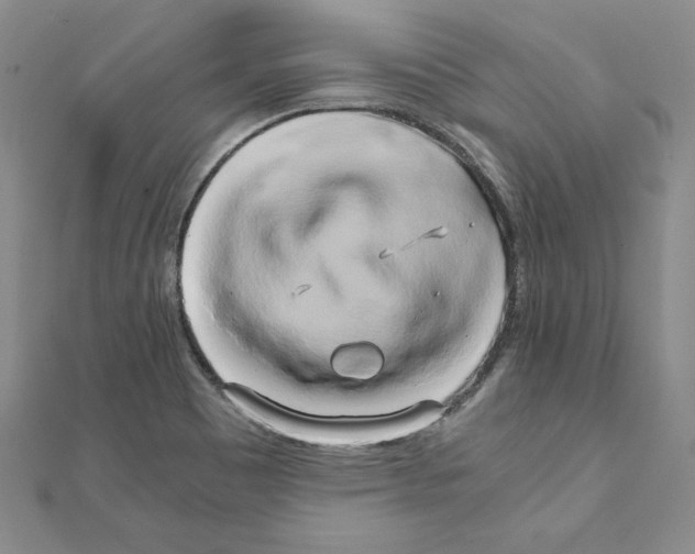 X0000110321465200906181813