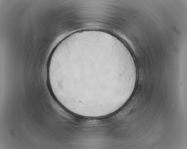 X0000110321467200906181813