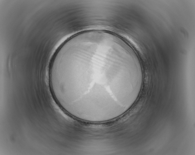 X0000110321468200906181813