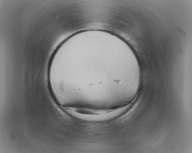 X0000110321469200906181813