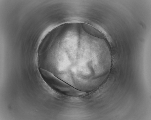 X0000110321472200906181813