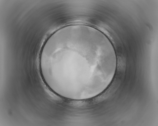 X0000110321474200906181813