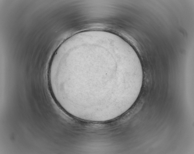 X0000110321475200906181813