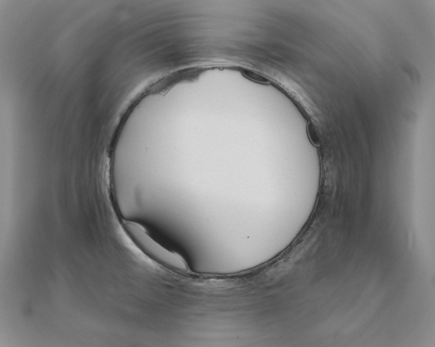 X0000110321476200906181813