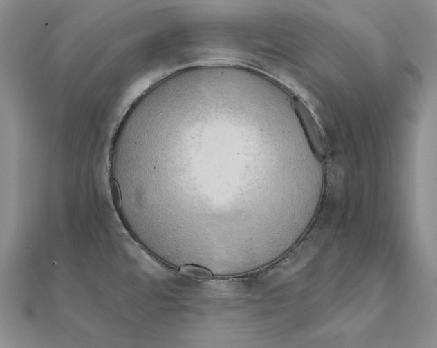 X0000110321480200906181813